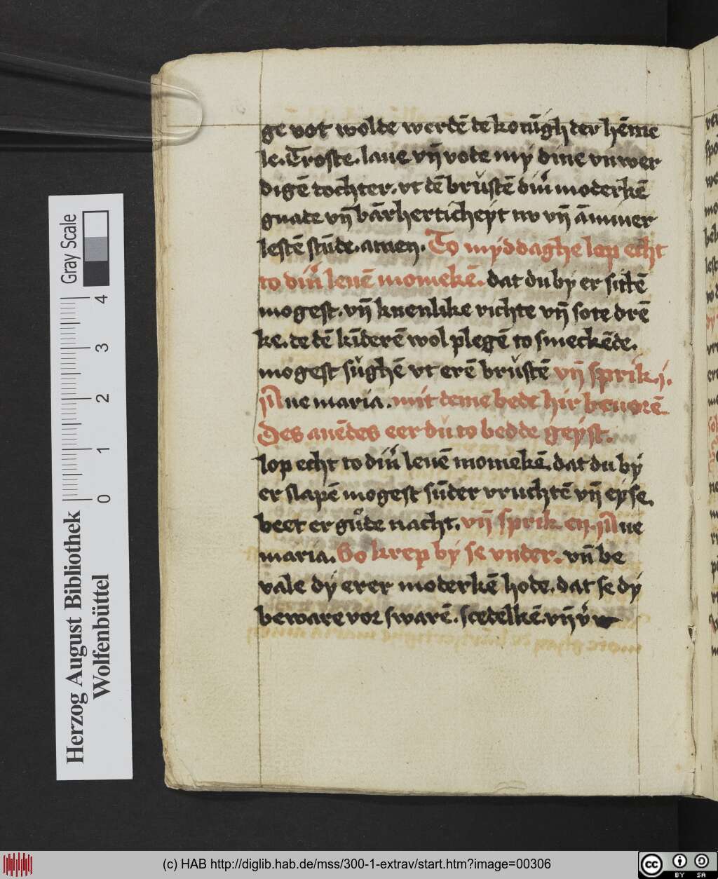 http://diglib.hab.de/mss/300-1-extrav/00306.jpg