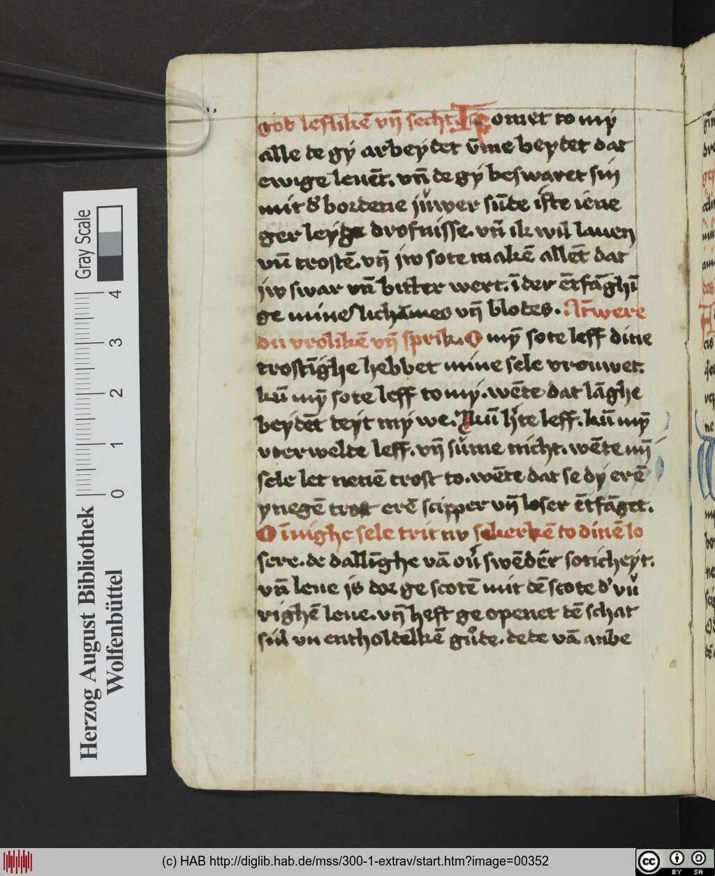 http://diglib.hab.de/mss/300-1-extrav/00352.jpg