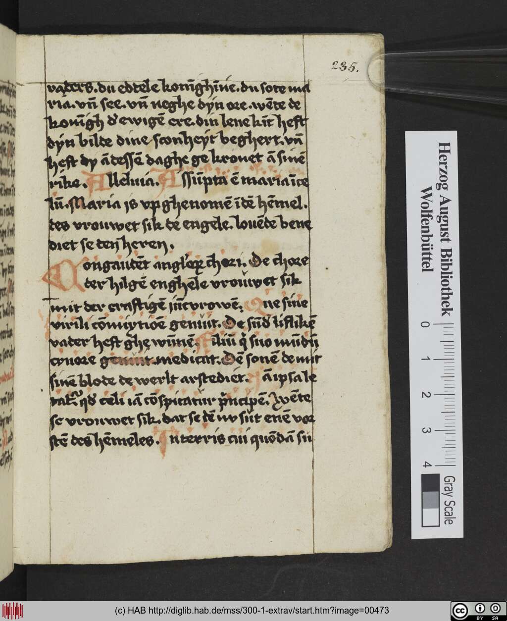 http://diglib.hab.de/mss/300-1-extrav/00473.jpg