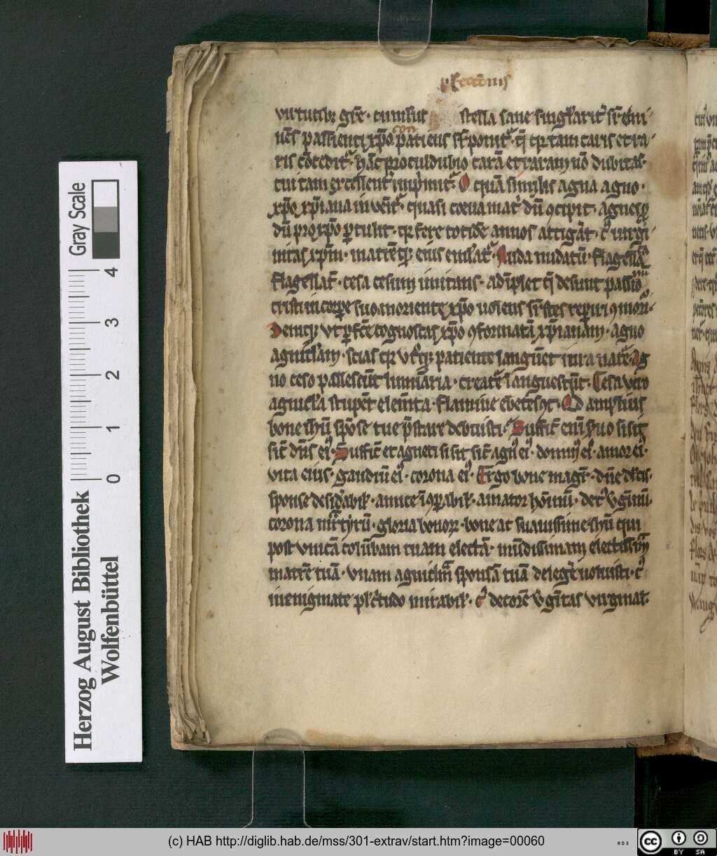http://diglib.hab.de/mss/301-extrav/00060.jpg
