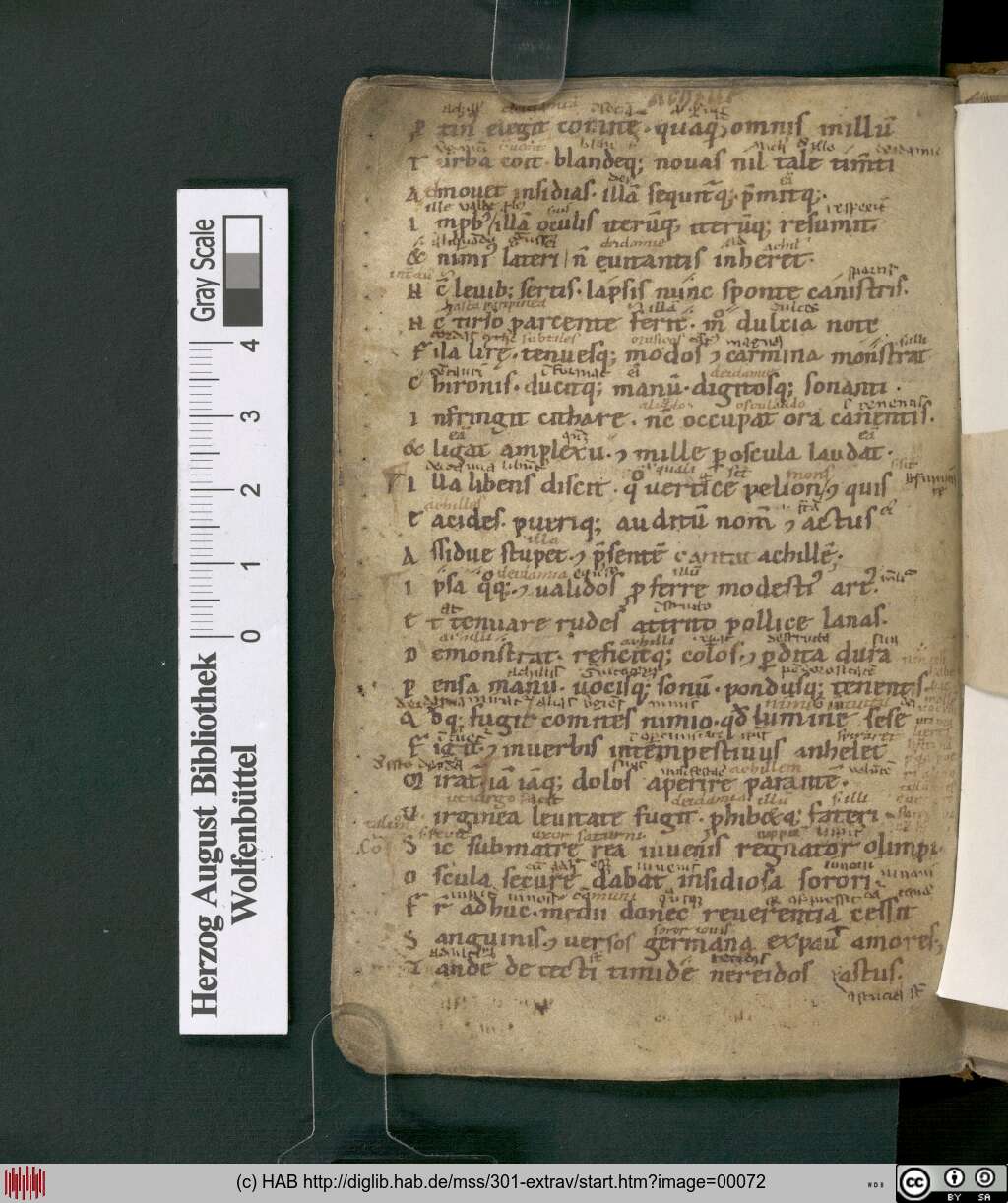 http://diglib.hab.de/mss/301-extrav/00072.jpg