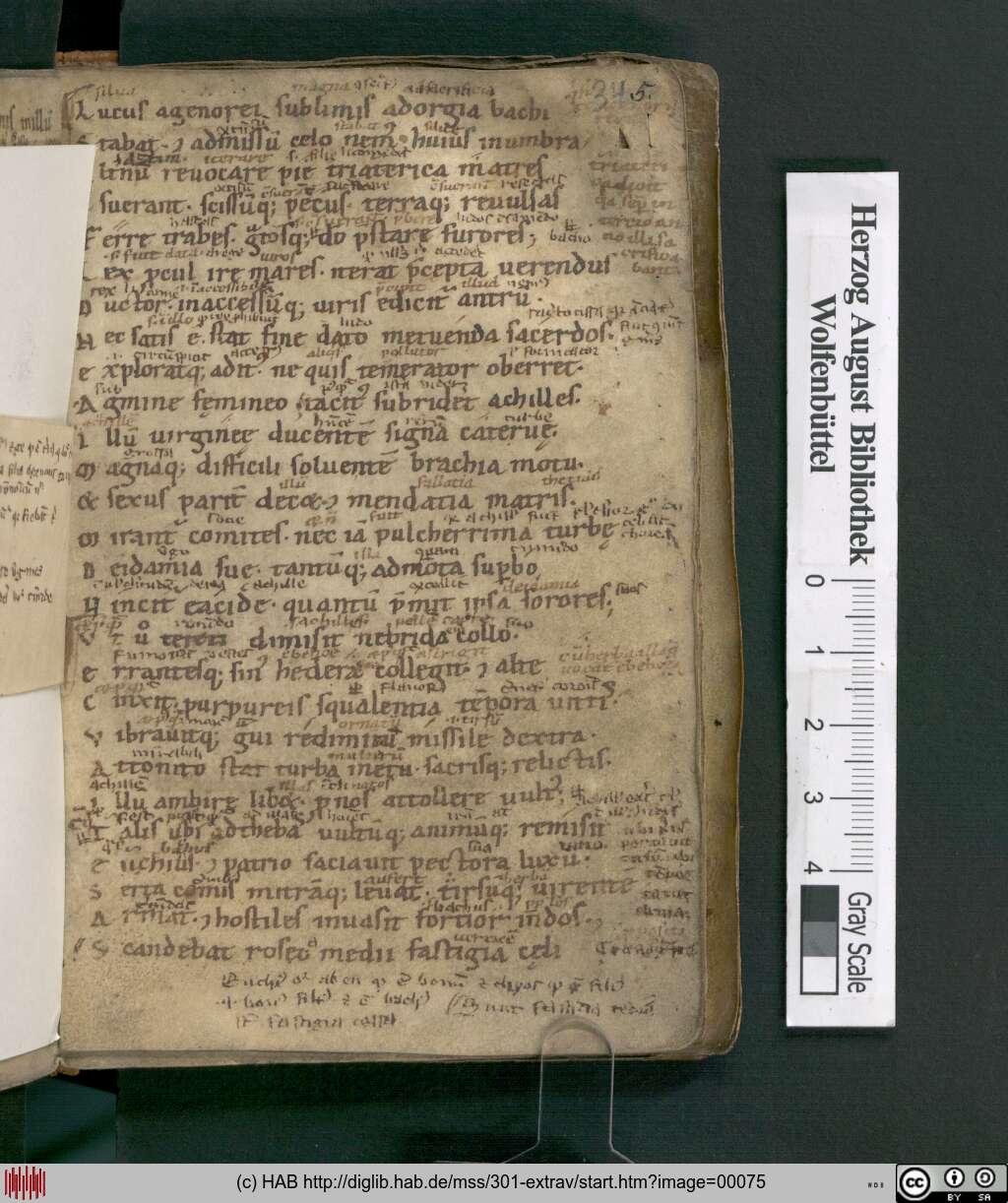 http://diglib.hab.de/mss/301-extrav/00075.jpg