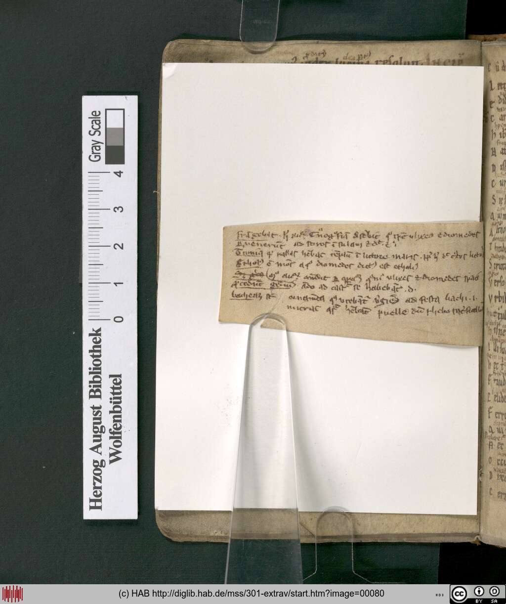 http://diglib.hab.de/mss/301-extrav/00080.jpg