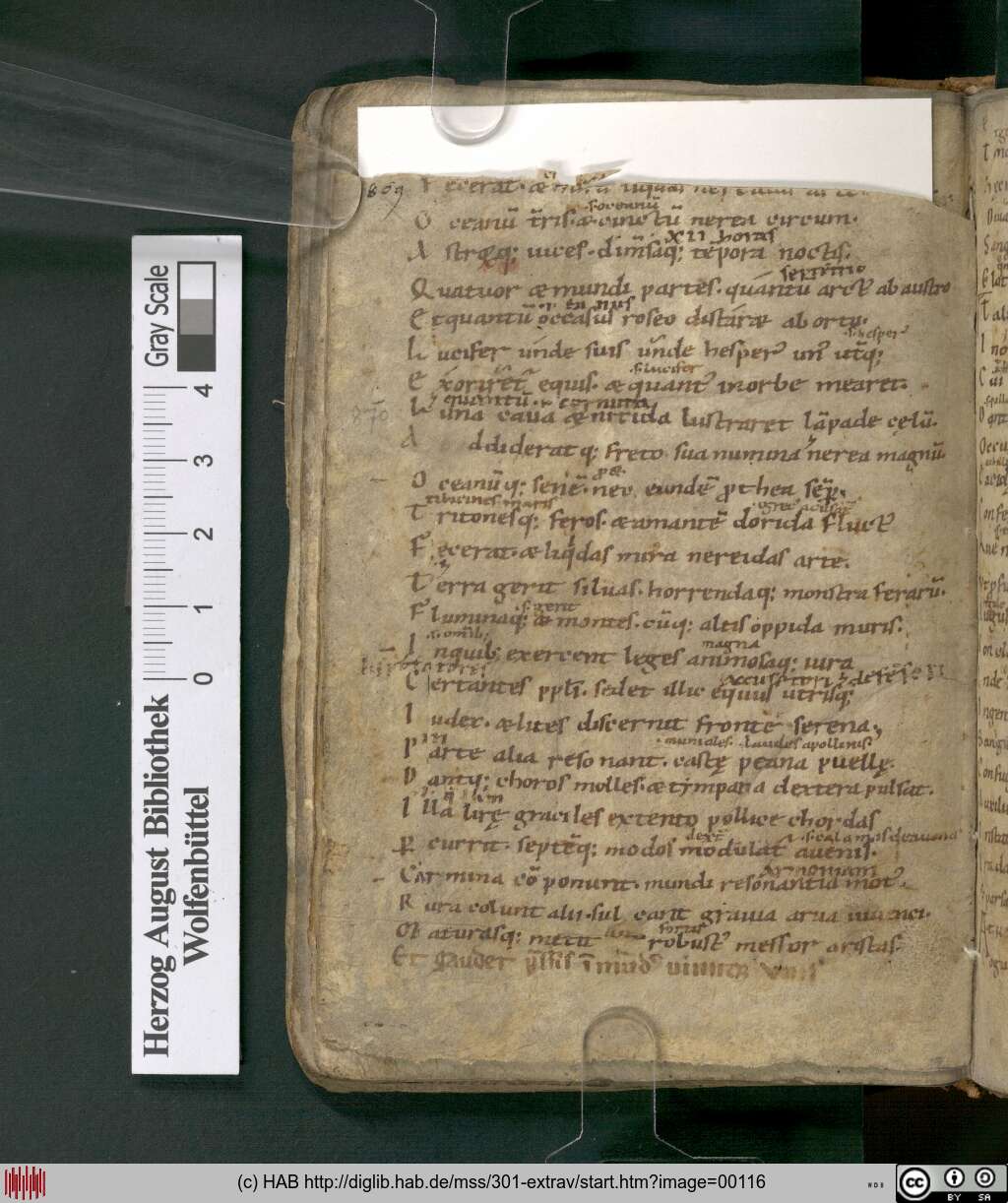 http://diglib.hab.de/mss/301-extrav/00116.jpg