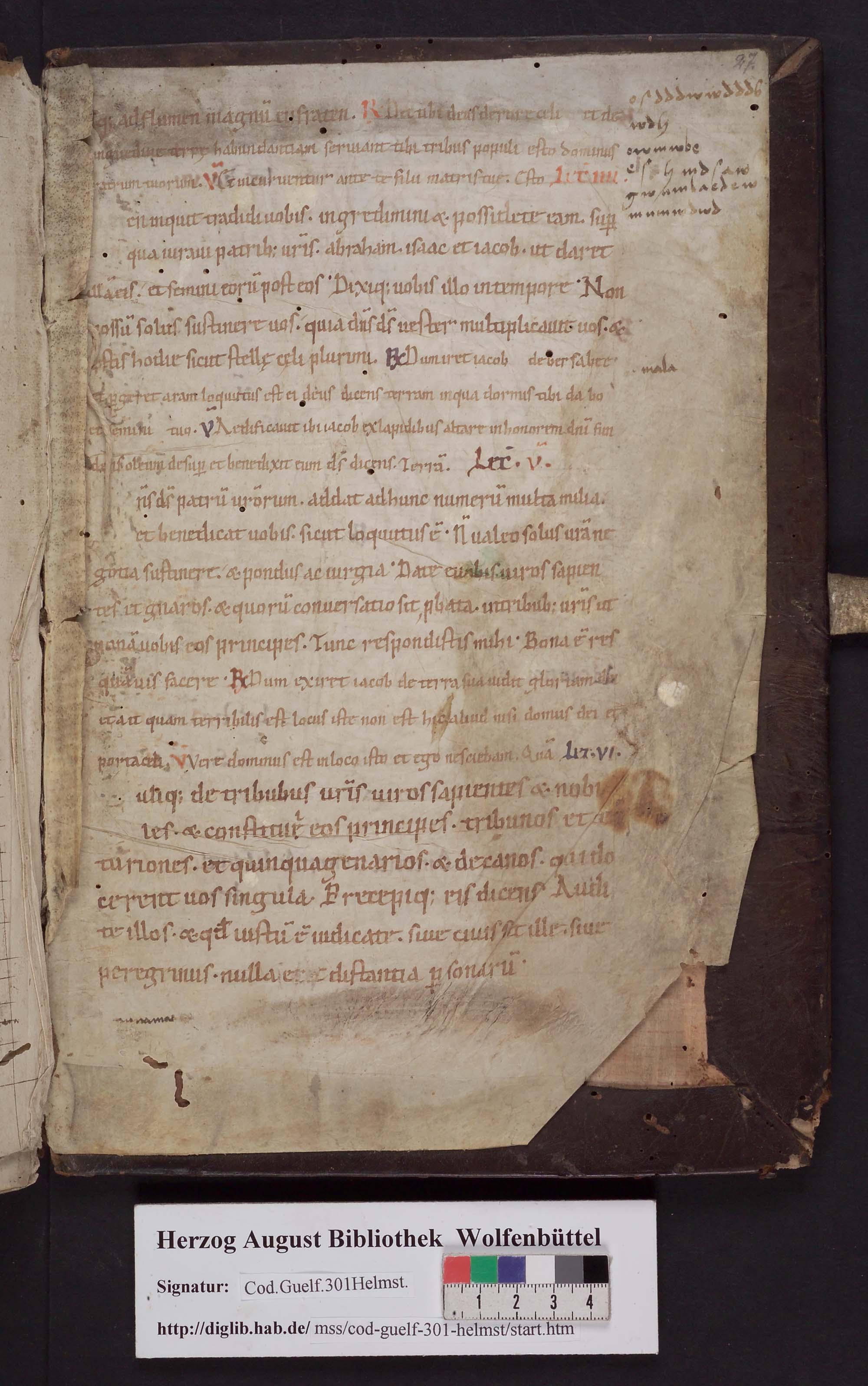 http://diglib.hab.de/mss/301-helmst/max/00055.jpg