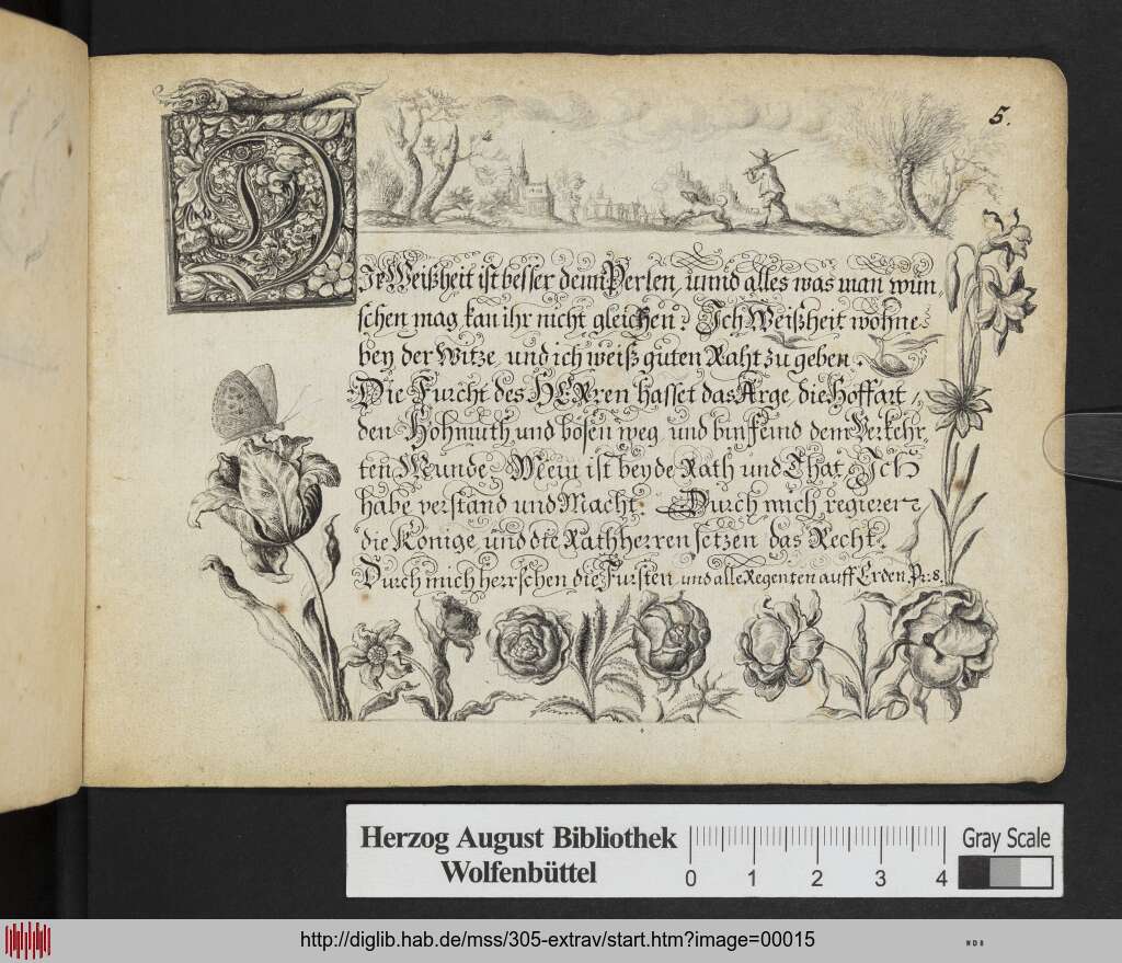 http://diglib.hab.de/mss/305-extrav/00015.jpg