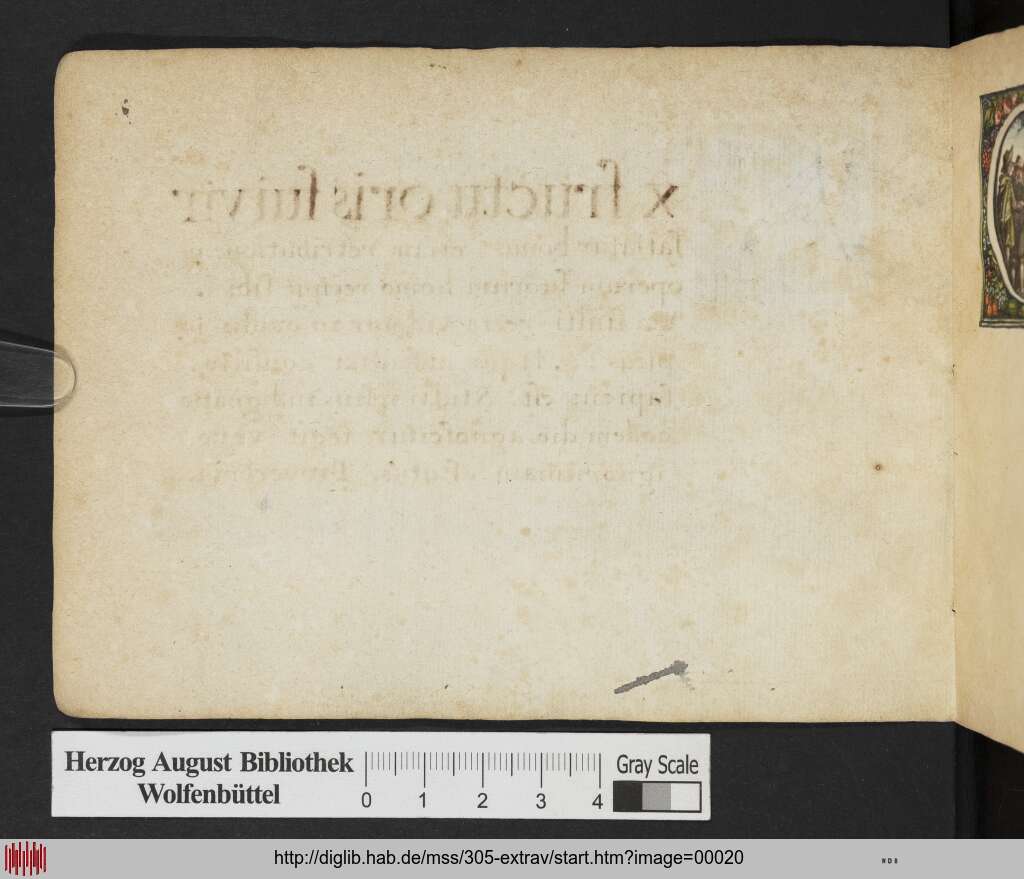 http://diglib.hab.de/mss/305-extrav/00020.jpg