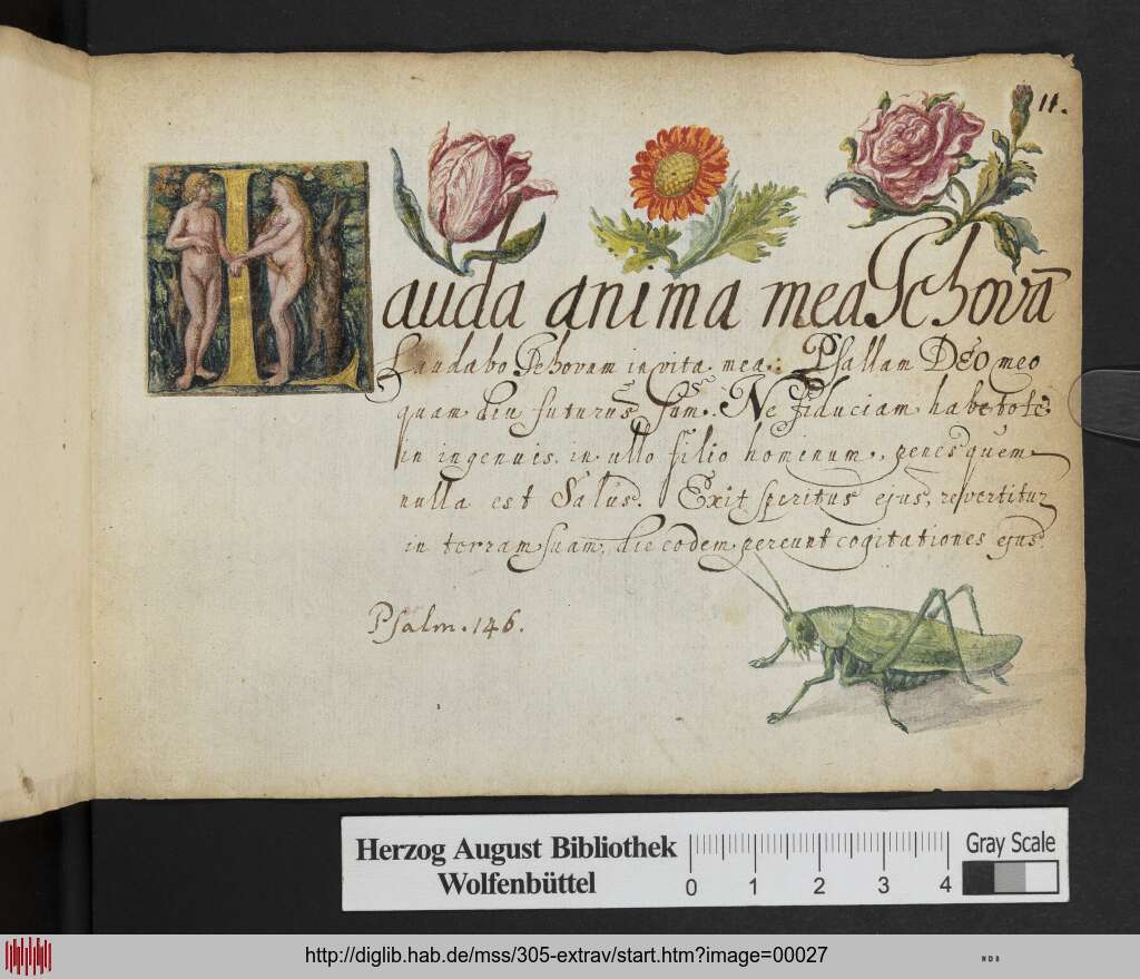 http://diglib.hab.de/mss/305-extrav/00027.jpg