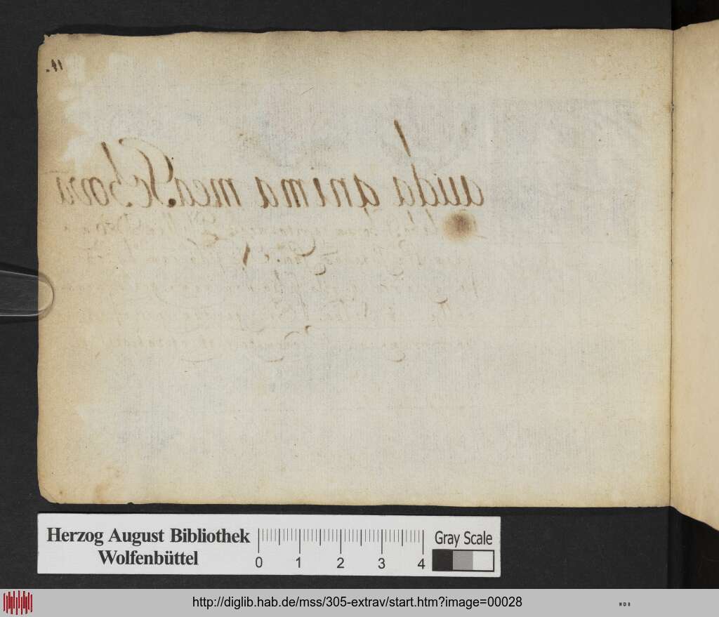http://diglib.hab.de/mss/305-extrav/00028.jpg