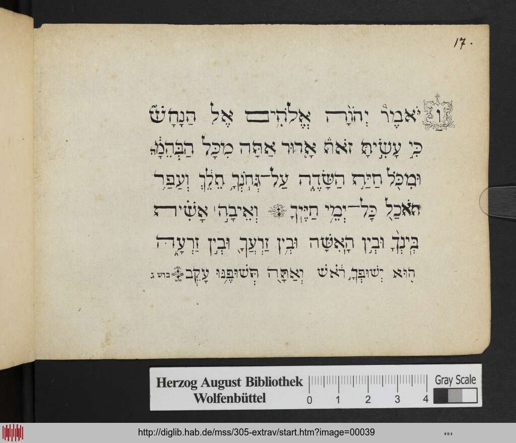 http://diglib.hab.de/mss/305-extrav/00039.jpg