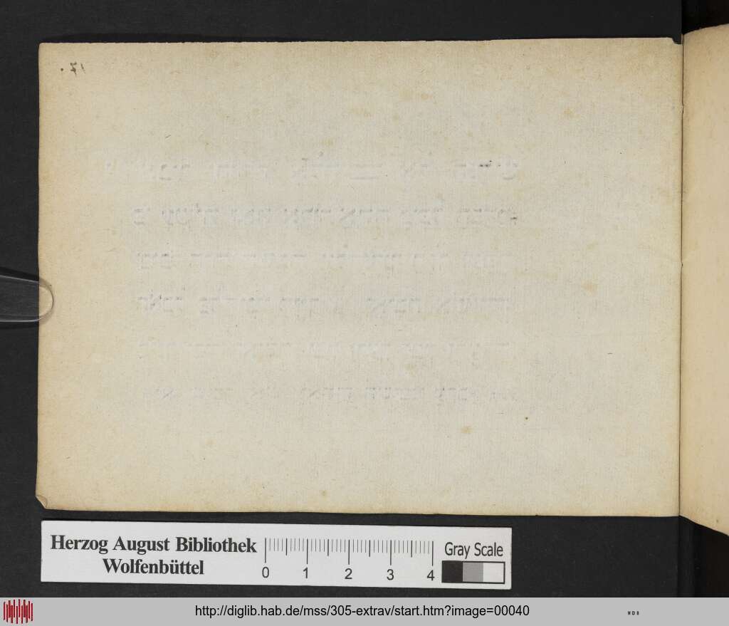 http://diglib.hab.de/mss/305-extrav/00040.jpg