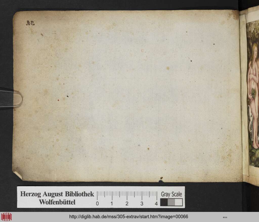 http://diglib.hab.de/mss/305-extrav/00066.jpg