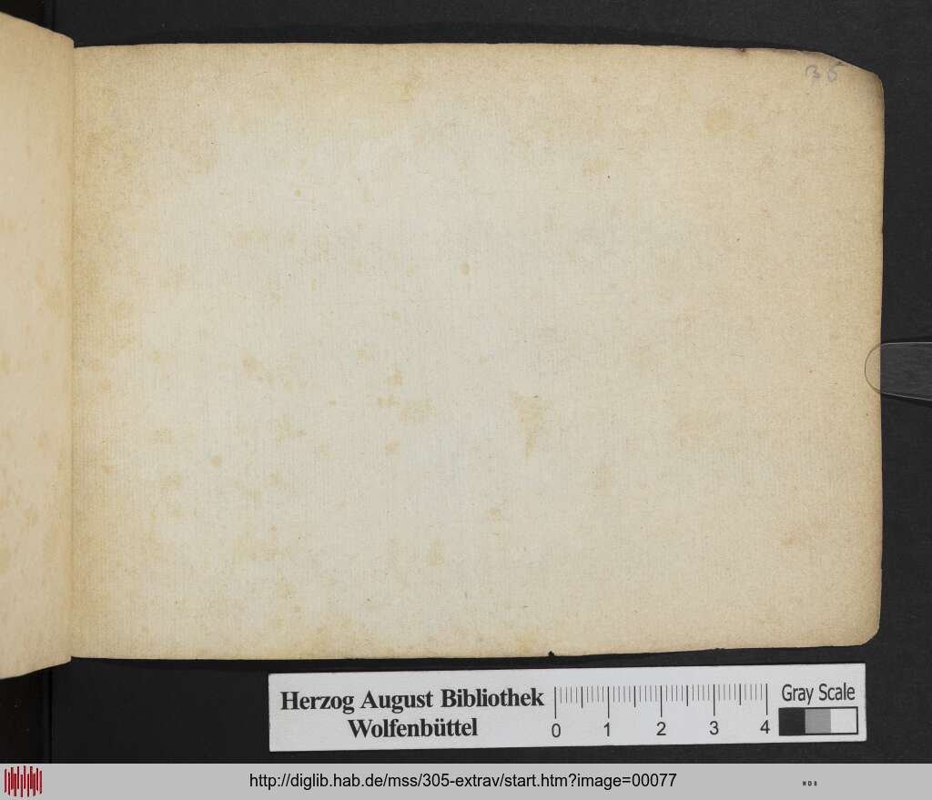 http://diglib.hab.de/mss/305-extrav/00077.jpg