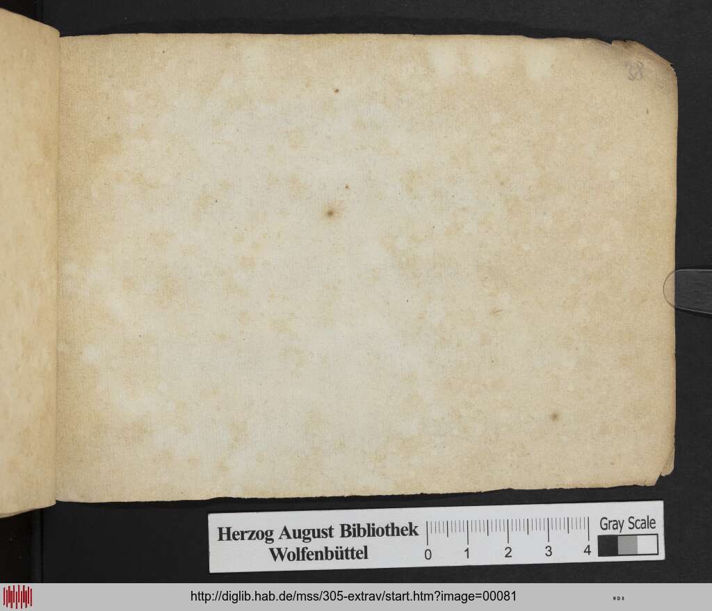 http://diglib.hab.de/mss/305-extrav/00081.jpg