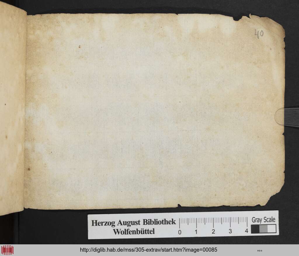 http://diglib.hab.de/mss/305-extrav/00085.jpg