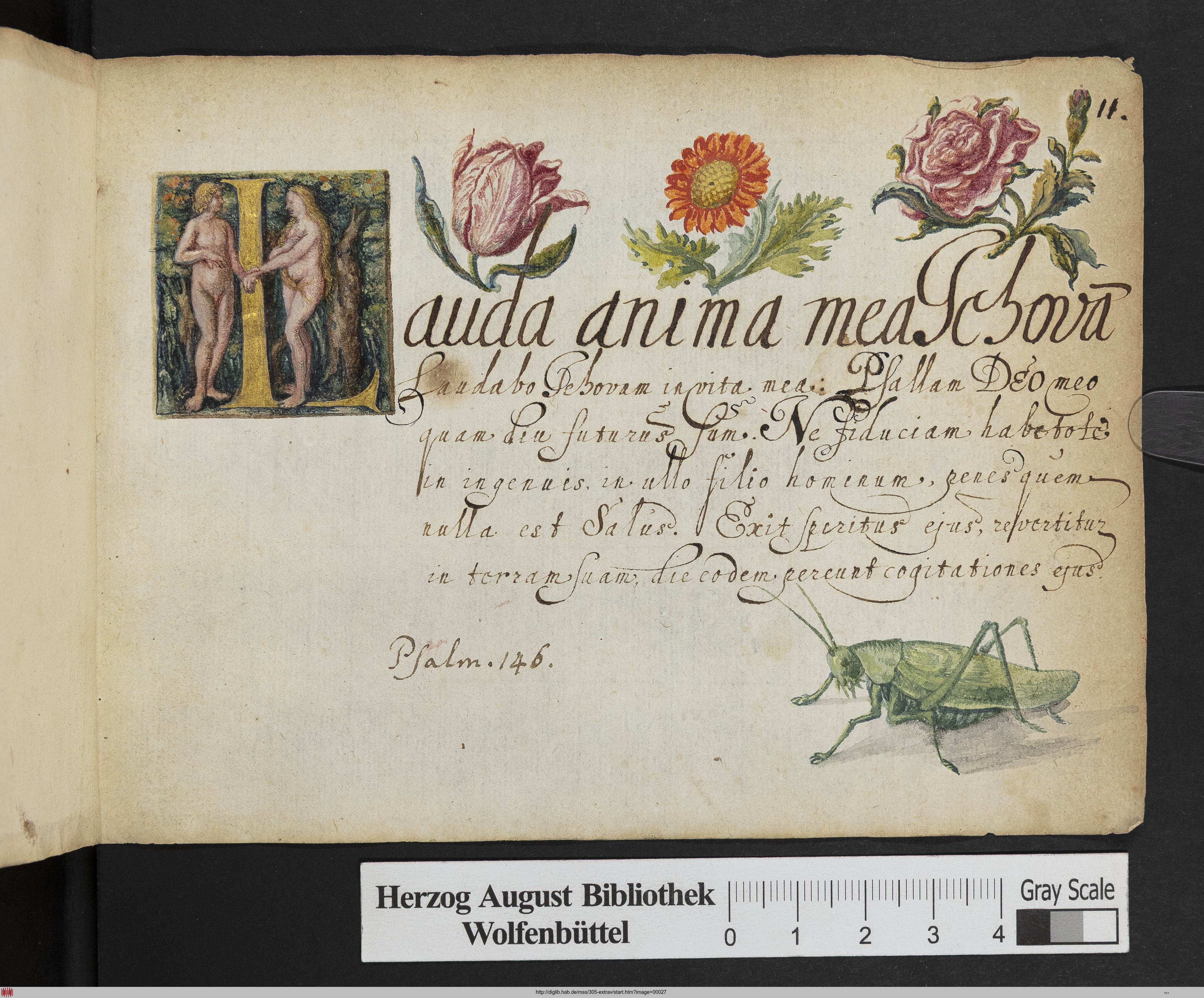 http://diglib.hab.de/mss/305-extrav/max/00027.jpg