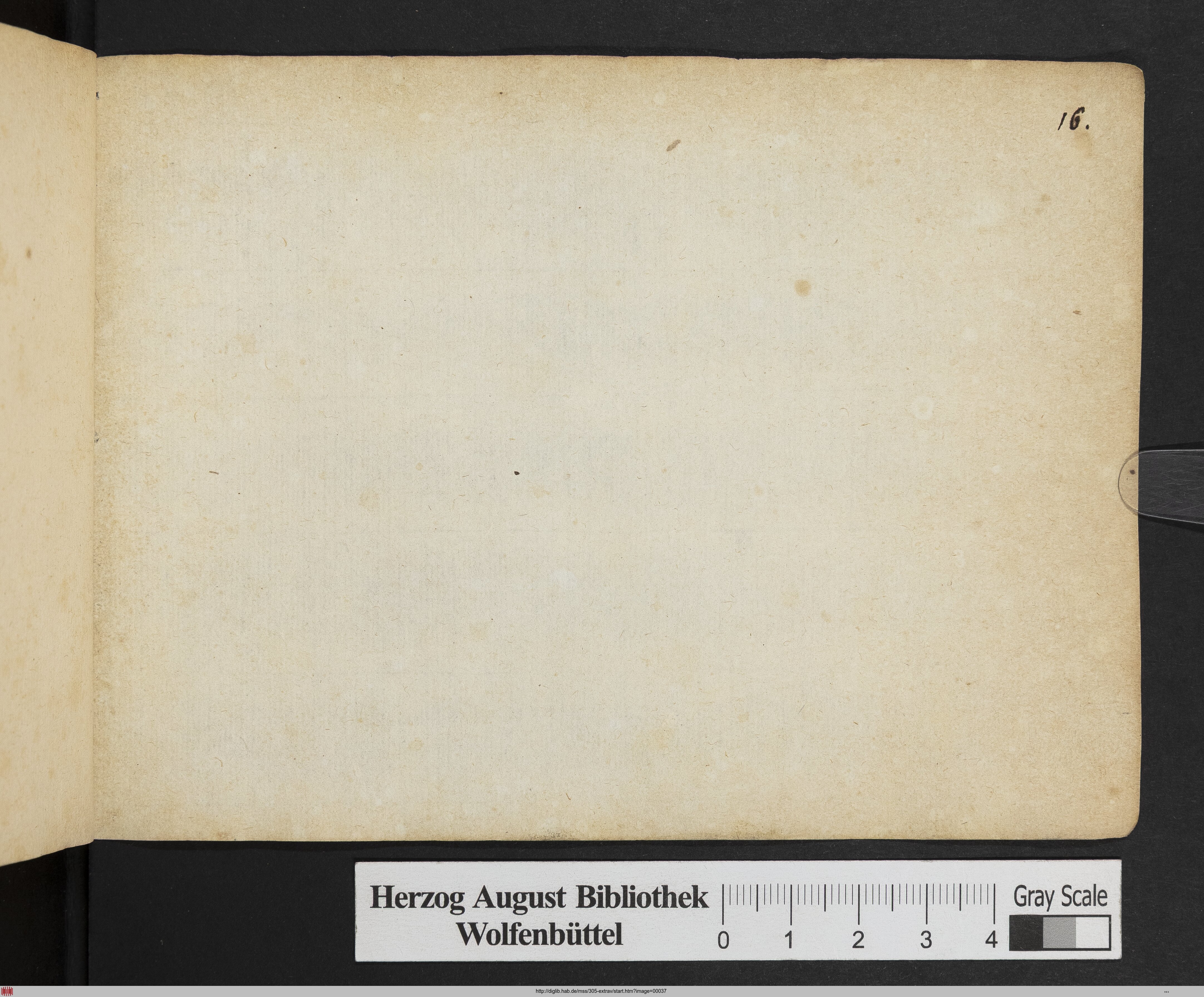 http://diglib.hab.de/mss/305-extrav/max/00037.jpg