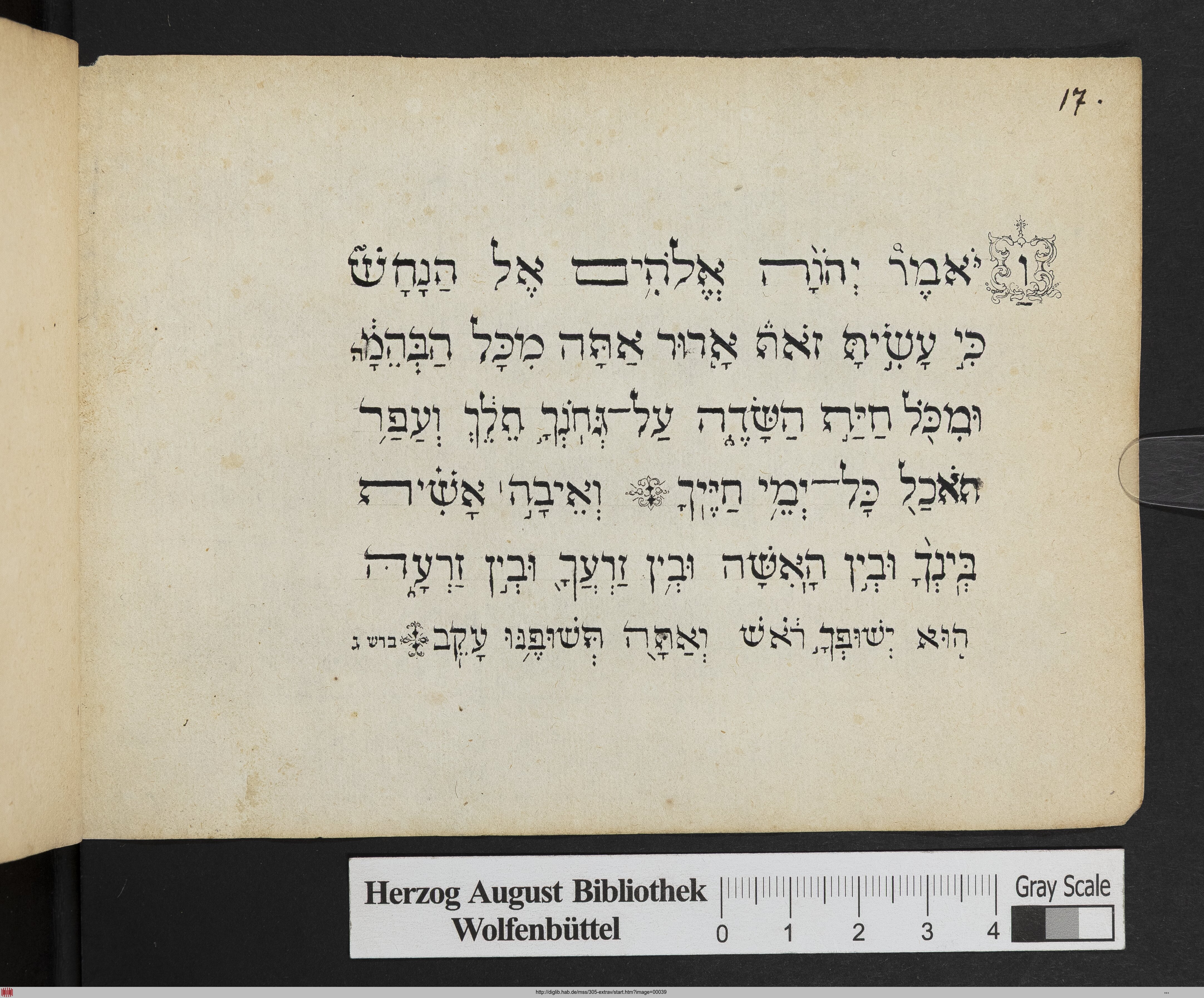 http://diglib.hab.de/mss/305-extrav/max/00039.jpg