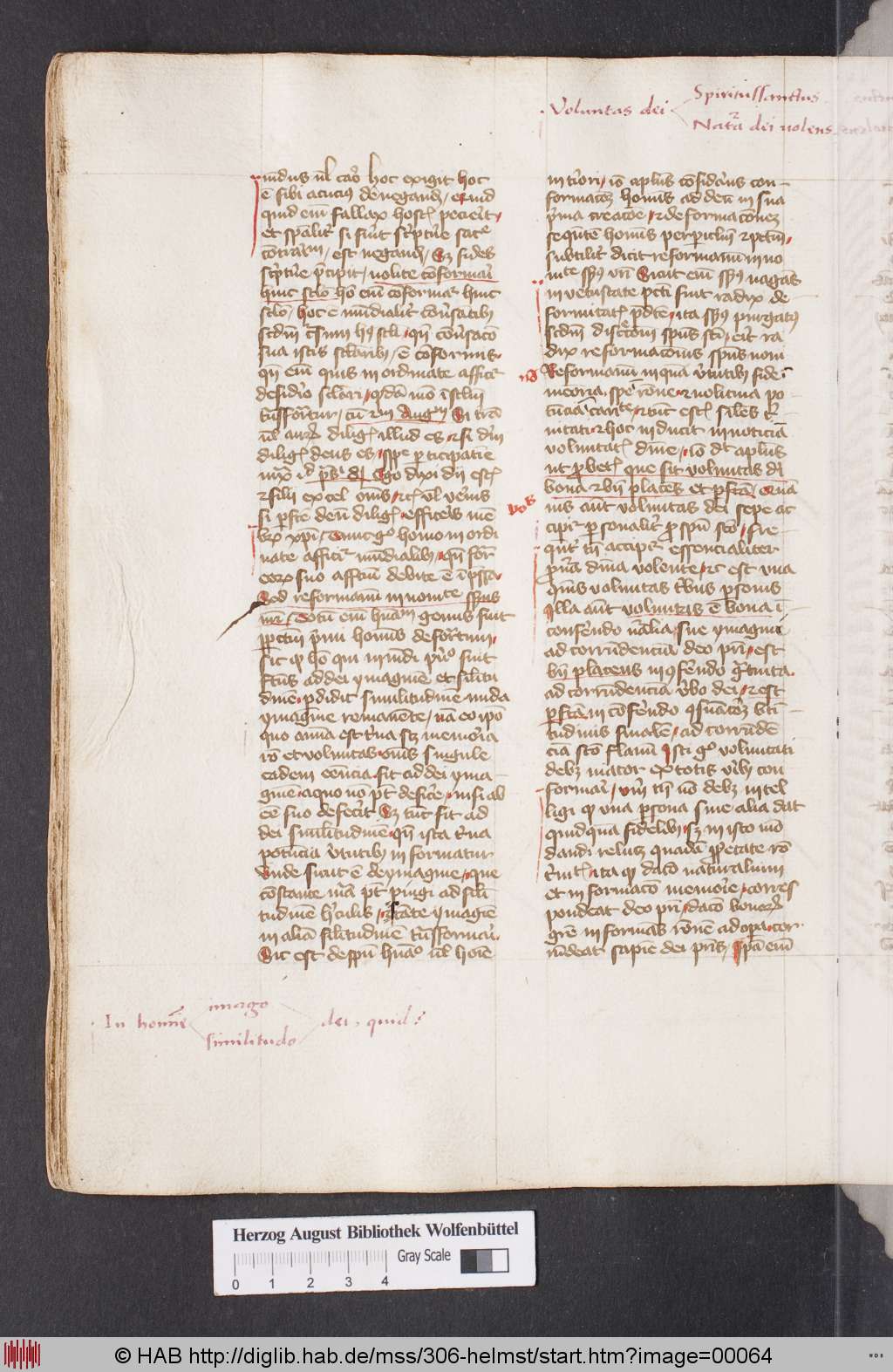 http://diglib.hab.de/mss/306-helmst/00064.jpg