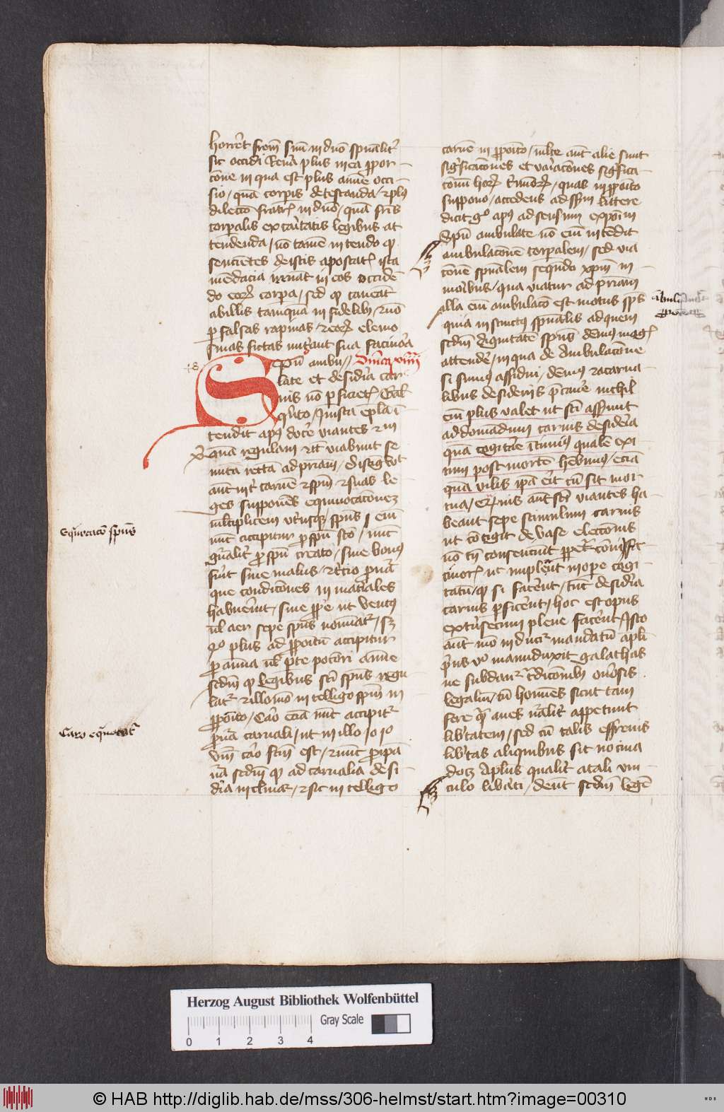 http://diglib.hab.de/mss/306-helmst/00310.jpg