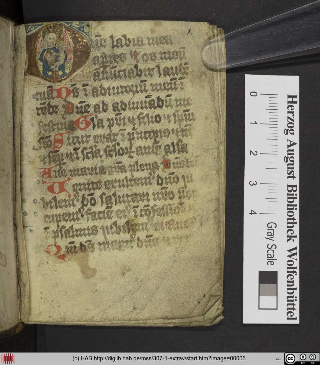 http://diglib.hab.de/mss/307-1-extrav/00005.jpg