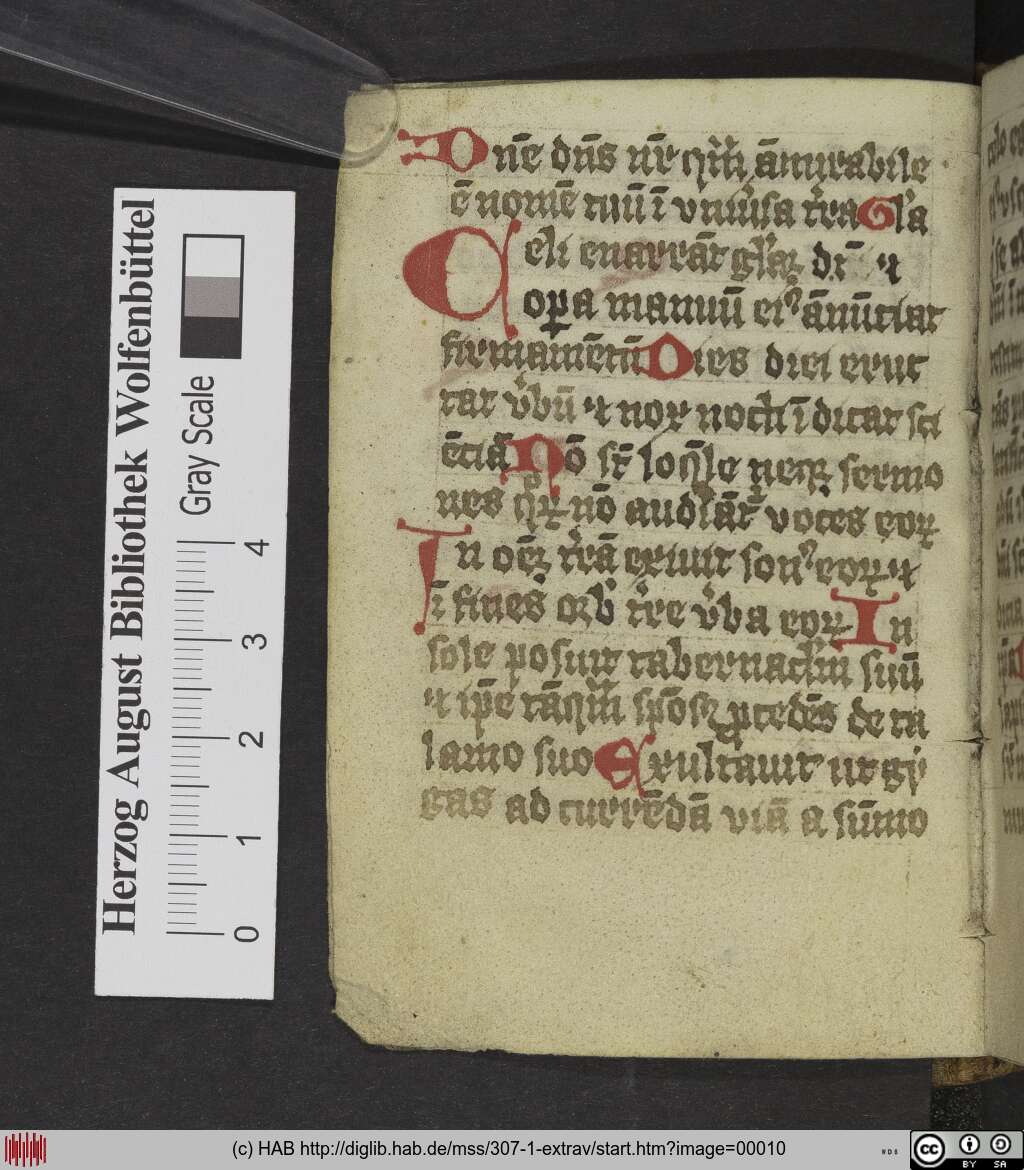 http://diglib.hab.de/mss/307-1-extrav/00010.jpg