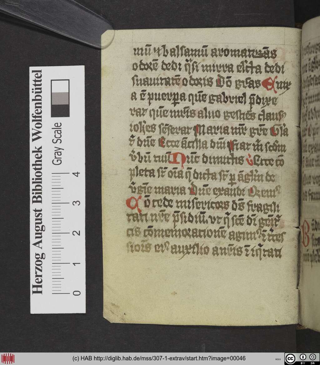 http://diglib.hab.de/mss/307-1-extrav/00046.jpg