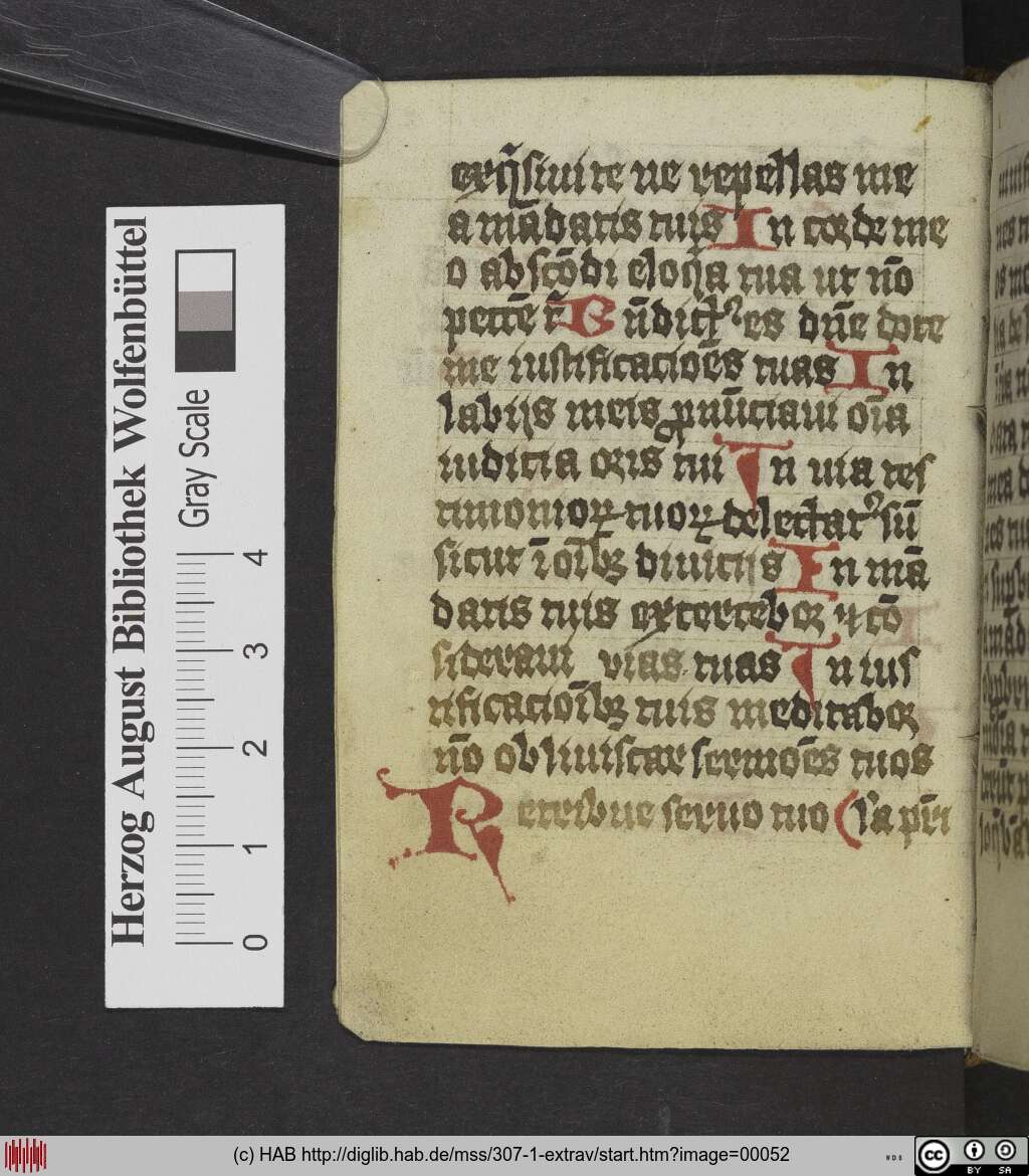 http://diglib.hab.de/mss/307-1-extrav/00052.jpg