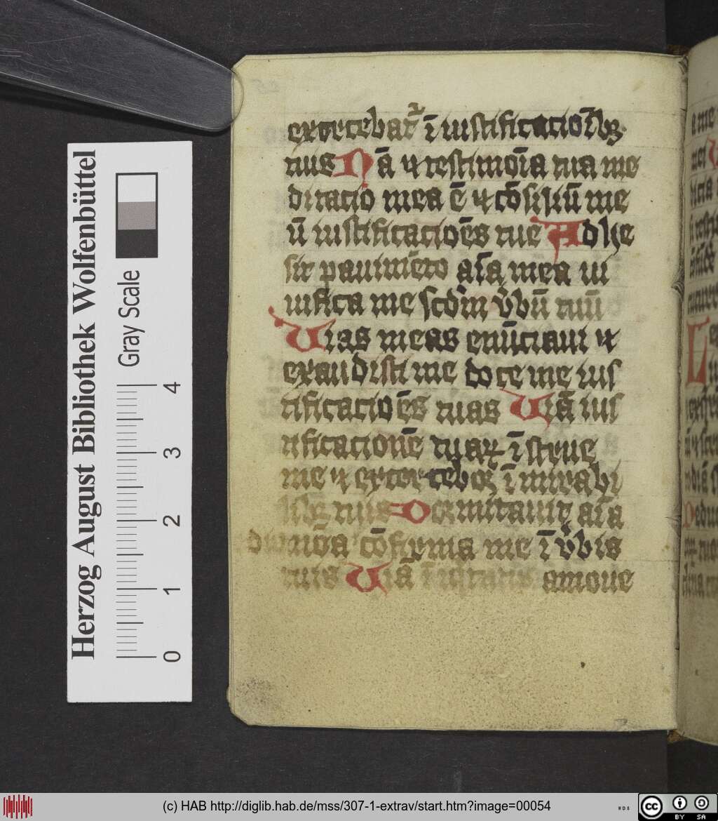 http://diglib.hab.de/mss/307-1-extrav/00054.jpg