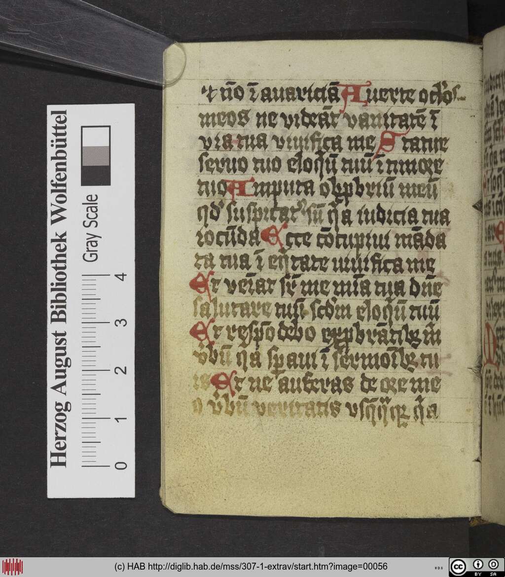 http://diglib.hab.de/mss/307-1-extrav/00056.jpg