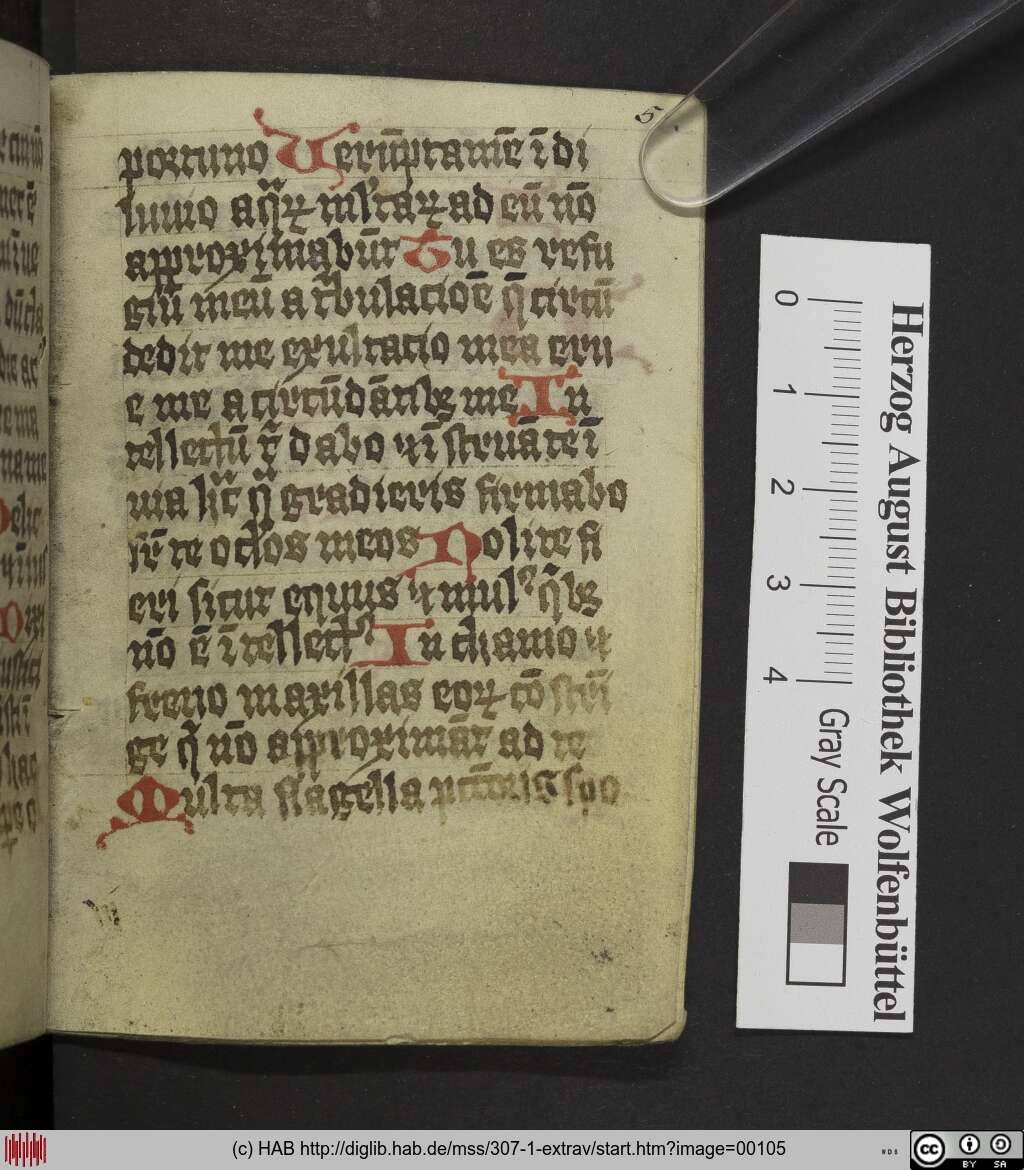 http://diglib.hab.de/mss/307-1-extrav/00105.jpg