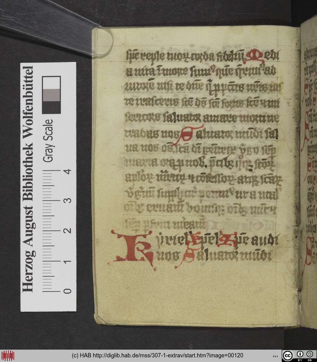 http://diglib.hab.de/mss/307-1-extrav/00120.jpg