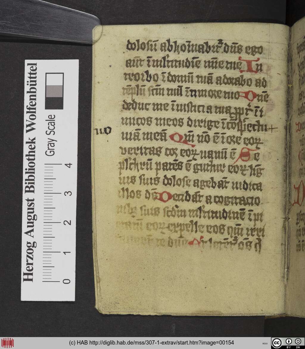 http://diglib.hab.de/mss/307-1-extrav/00154.jpg