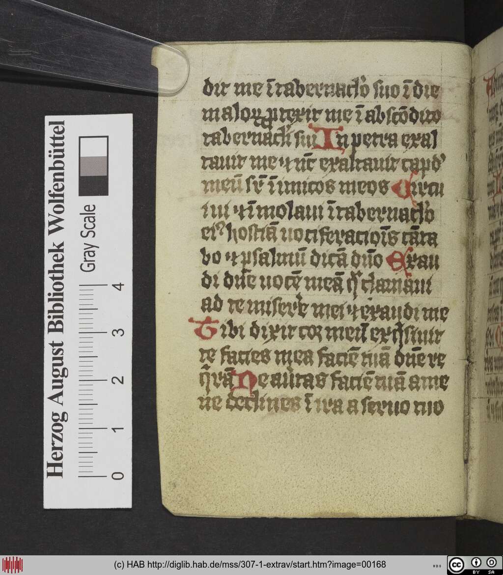 http://diglib.hab.de/mss/307-1-extrav/00168.jpg