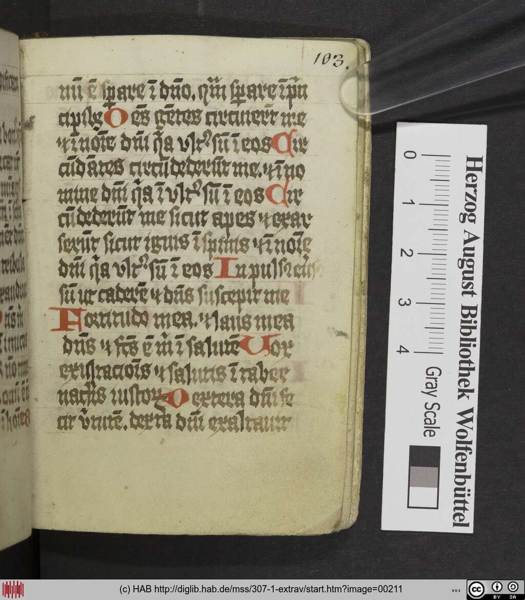 http://diglib.hab.de/mss/307-1-extrav/00211.jpg