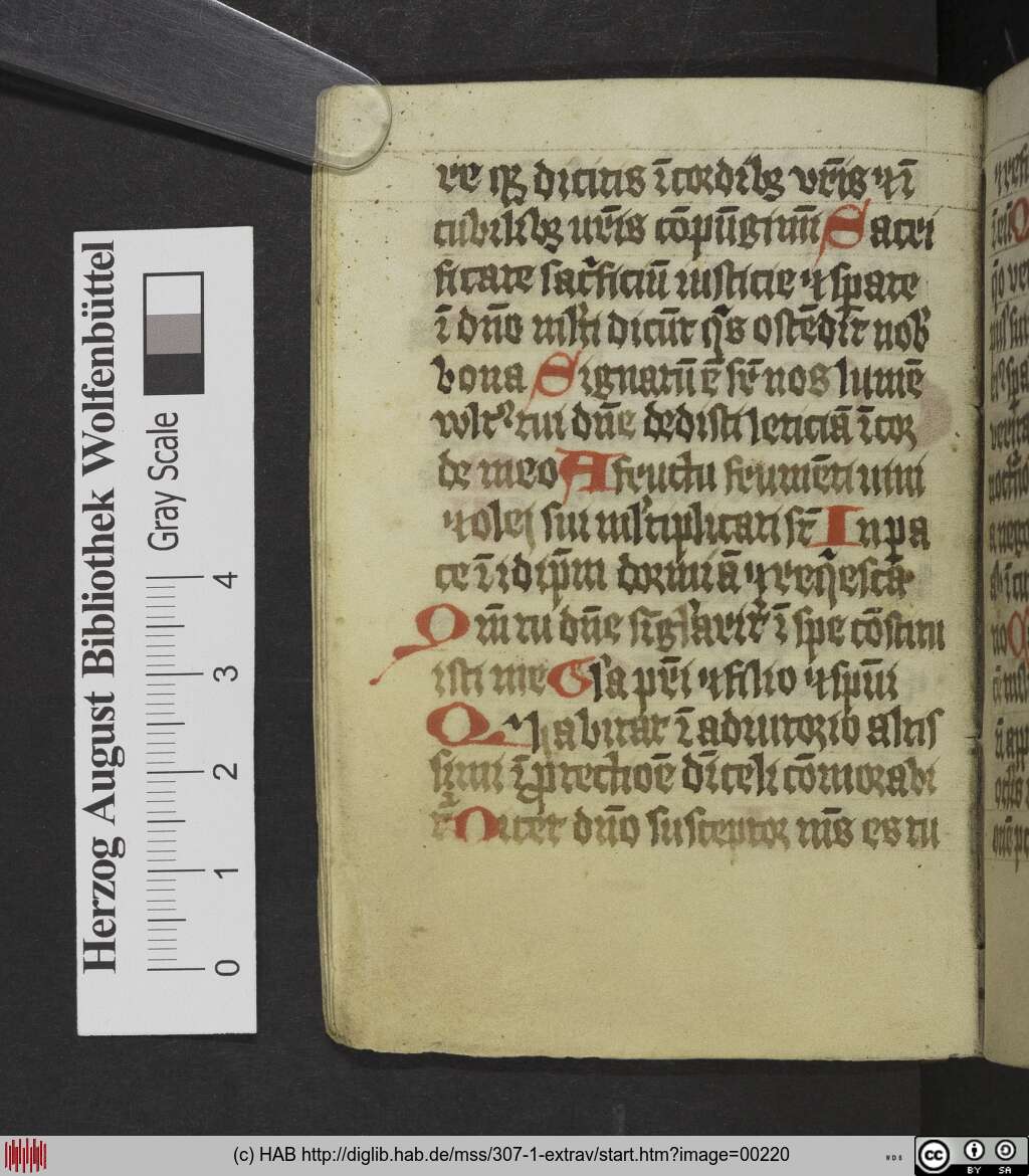 http://diglib.hab.de/mss/307-1-extrav/00220.jpg