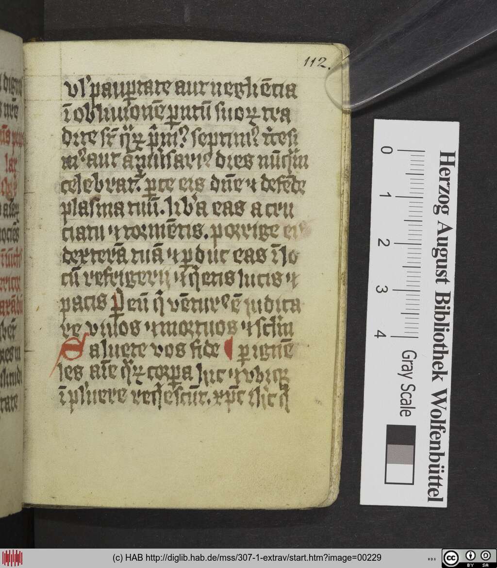 http://diglib.hab.de/mss/307-1-extrav/00229.jpg