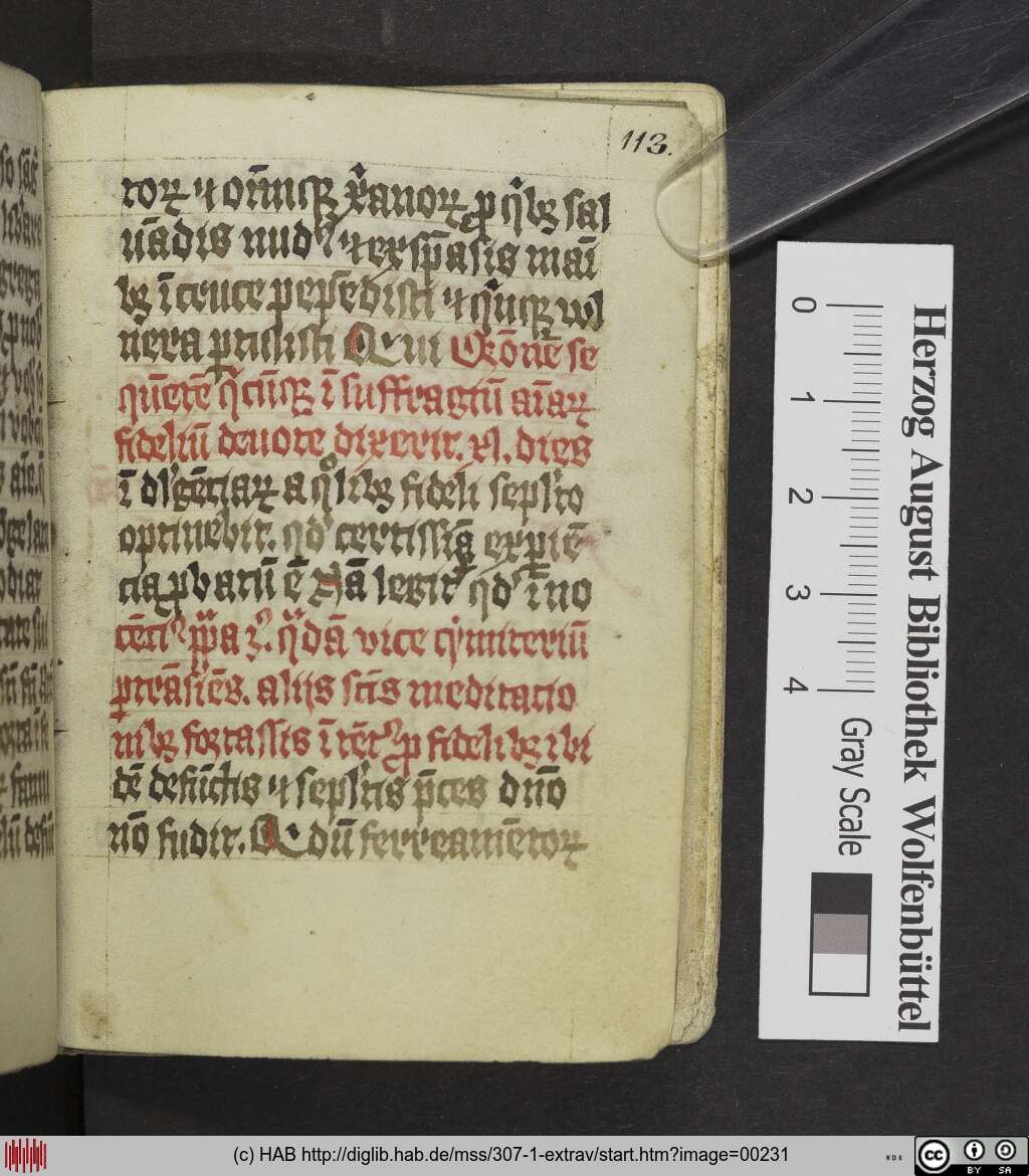 http://diglib.hab.de/mss/307-1-extrav/00231.jpg