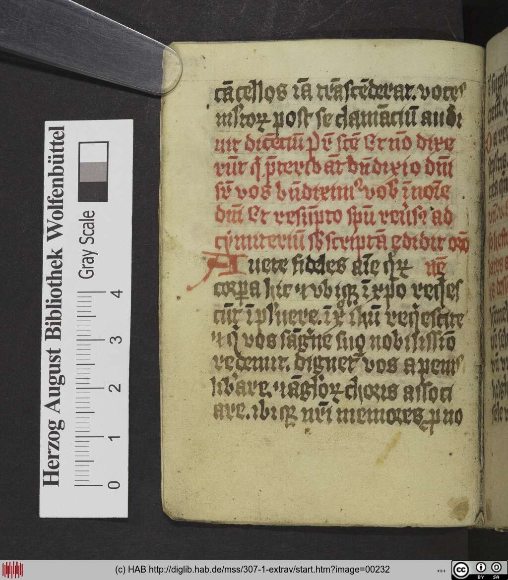 http://diglib.hab.de/mss/307-1-extrav/00232.jpg