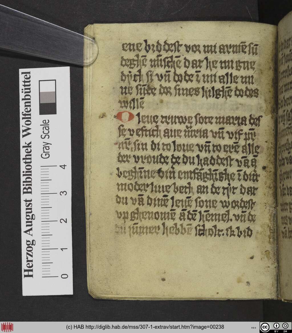 http://diglib.hab.de/mss/307-1-extrav/00238.jpg