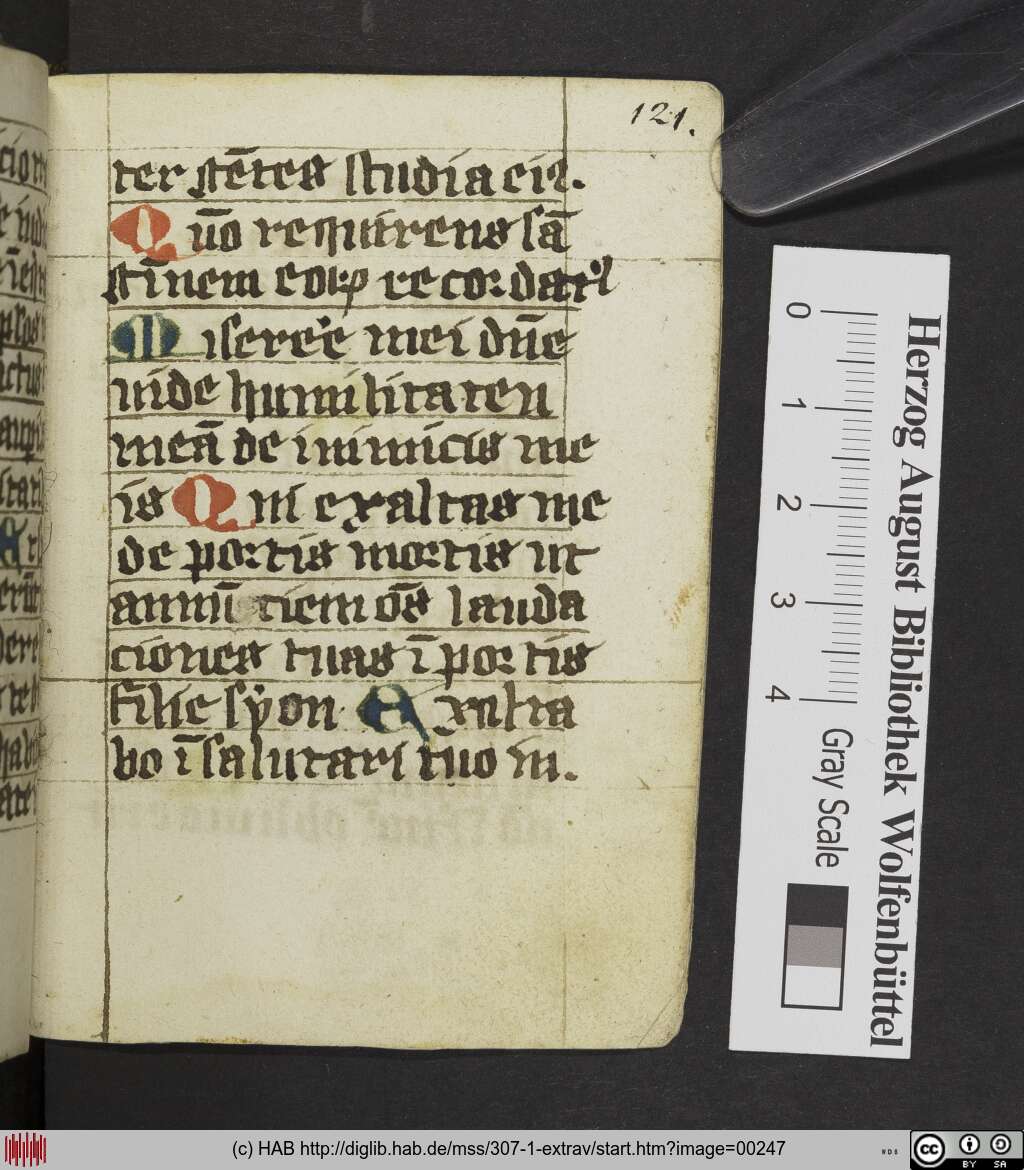 http://diglib.hab.de/mss/307-1-extrav/00247.jpg