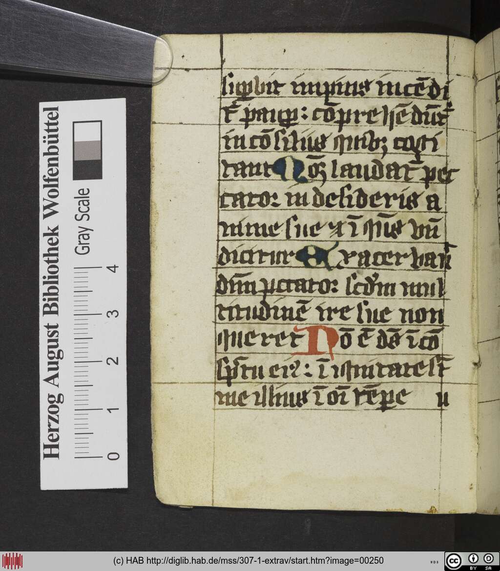 http://diglib.hab.de/mss/307-1-extrav/00250.jpg