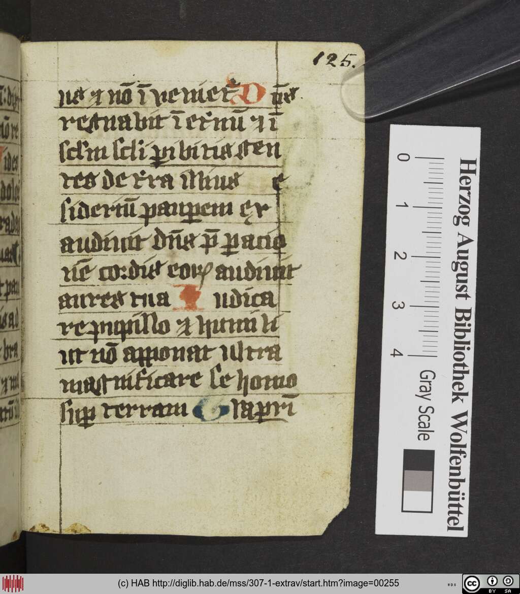 http://diglib.hab.de/mss/307-1-extrav/00255.jpg