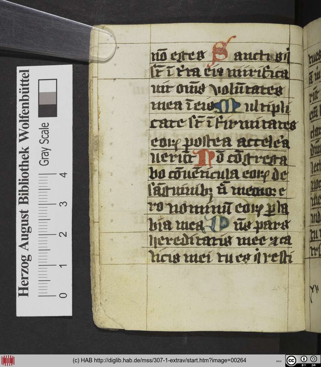 http://diglib.hab.de/mss/307-1-extrav/00264.jpg