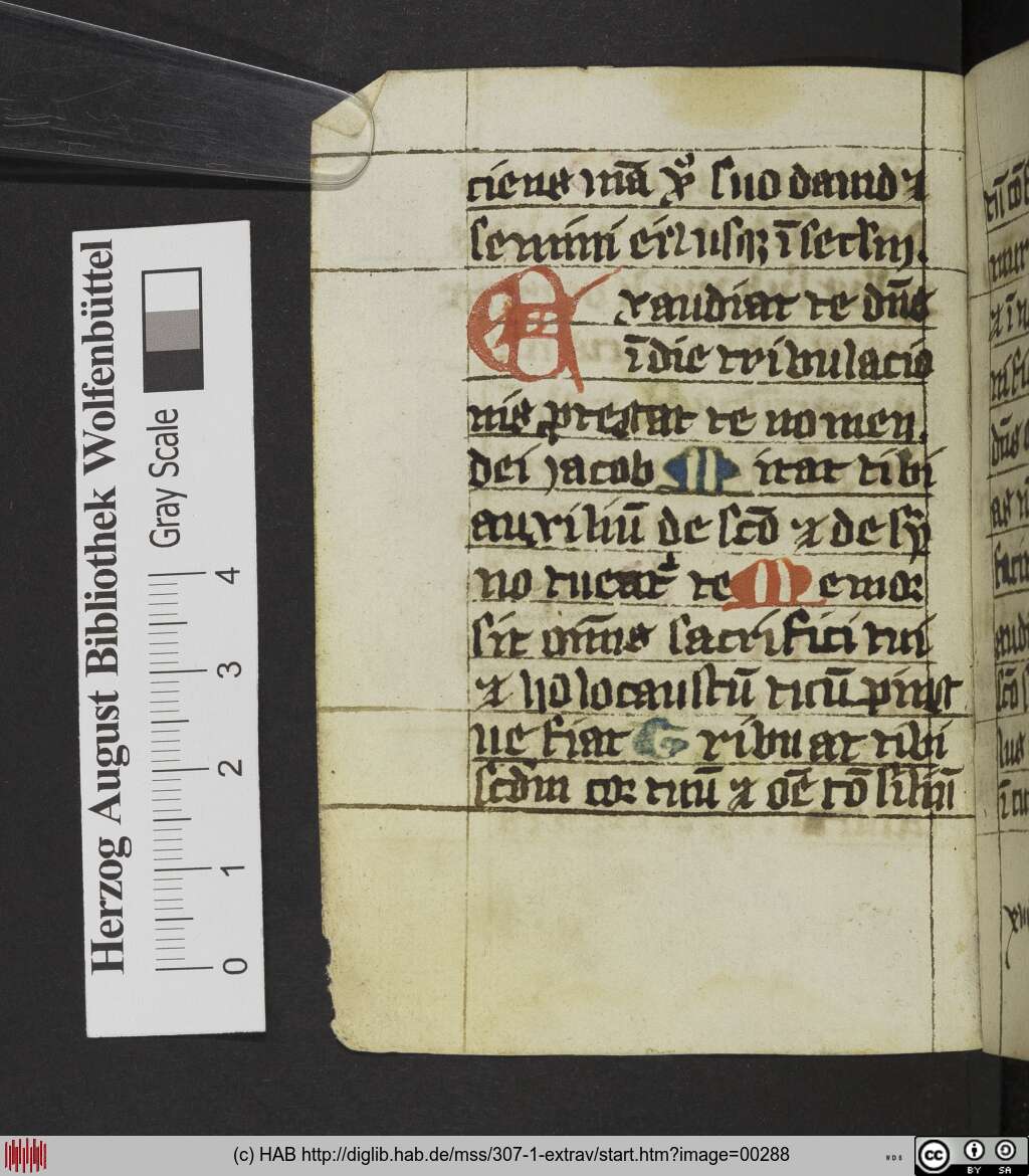 http://diglib.hab.de/mss/307-1-extrav/00288.jpg