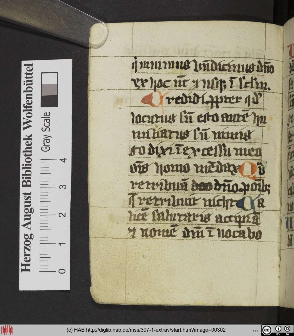 http://diglib.hab.de/mss/307-1-extrav/00302.jpg