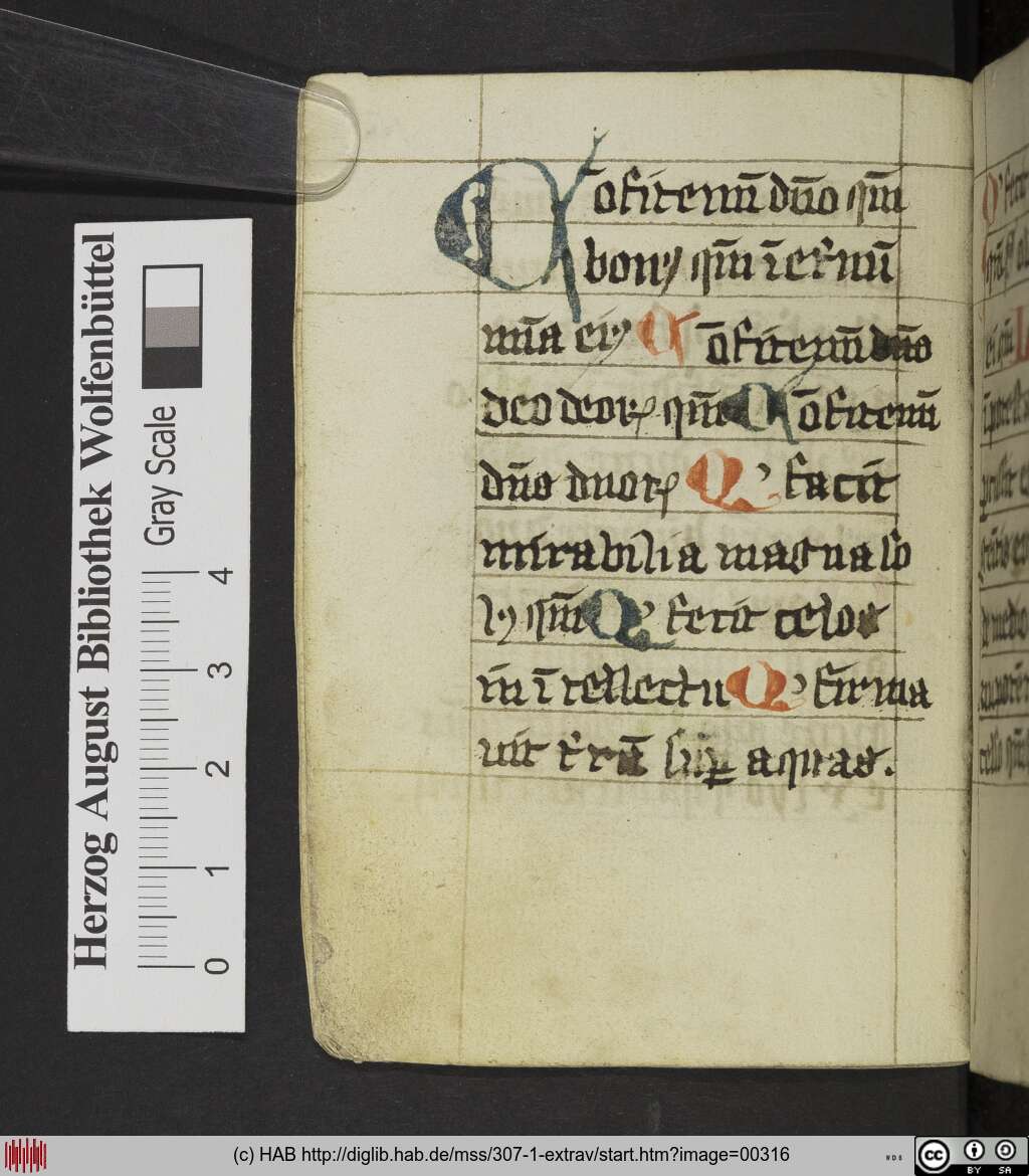 http://diglib.hab.de/mss/307-1-extrav/00316.jpg