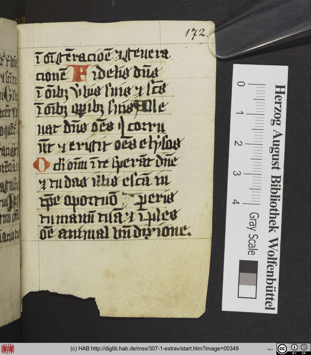 http://diglib.hab.de/mss/307-1-extrav/00349.jpg