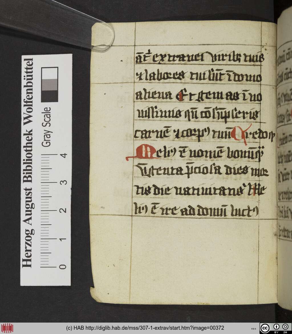 http://diglib.hab.de/mss/307-1-extrav/00372.jpg