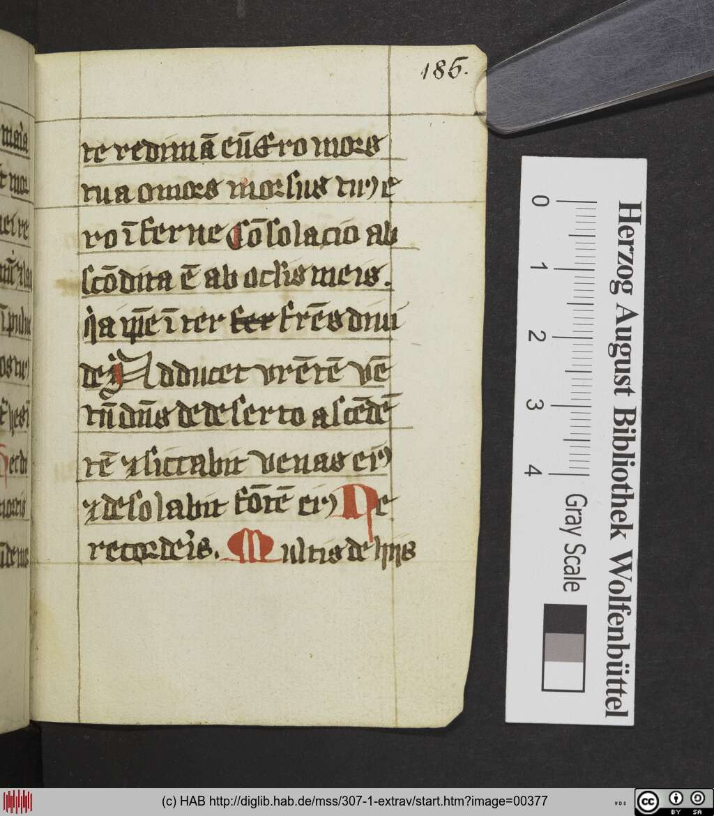 http://diglib.hab.de/mss/307-1-extrav/00377.jpg